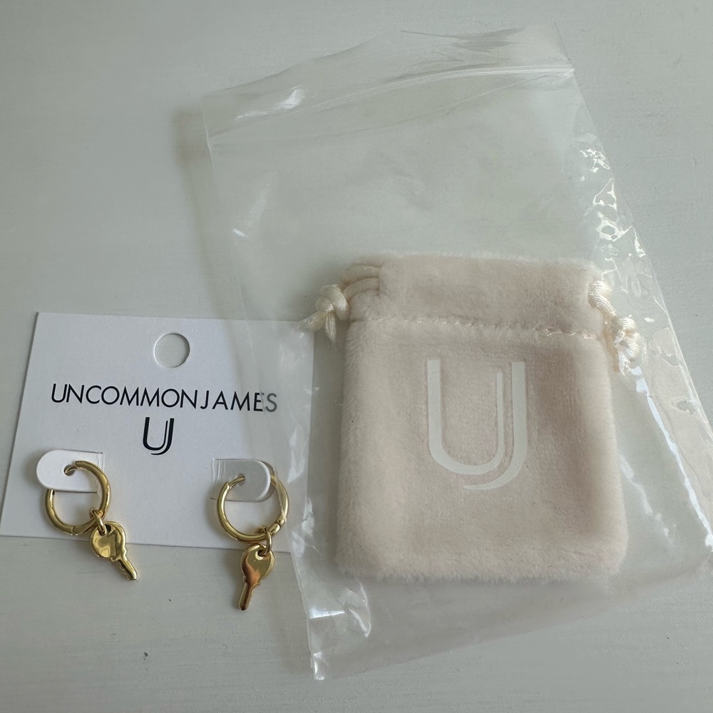 Uncommon James earrings